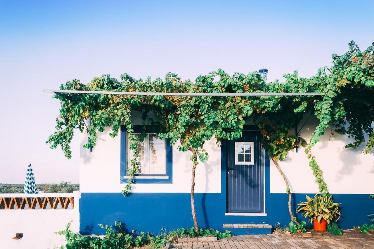 Monte Do Colmeal - Country House & Wine ξενώνας Mourão Εξωτερικό φωτογραφία