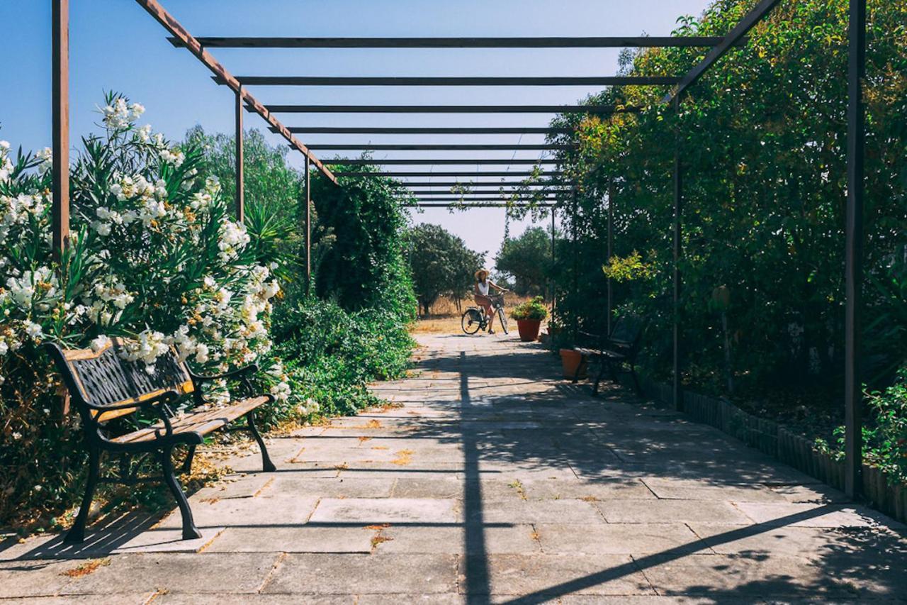 Monte Do Colmeal - Country House & Wine ξενώνας Mourão Εξωτερικό φωτογραφία
