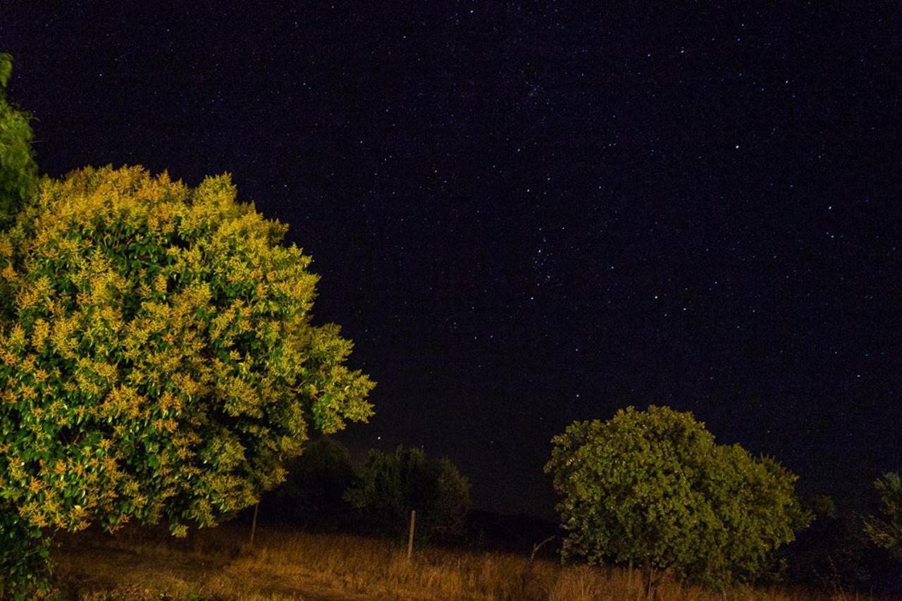 Monte Do Colmeal - Country House & Wine ξενώνας Mourão Εξωτερικό φωτογραφία
