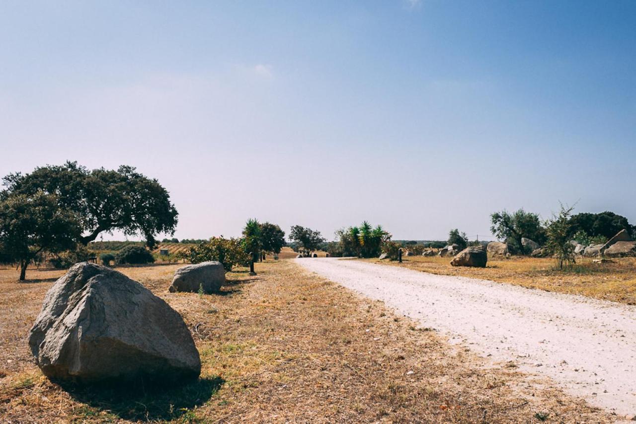 Monte Do Colmeal - Country House & Wine ξενώνας Mourão Εξωτερικό φωτογραφία