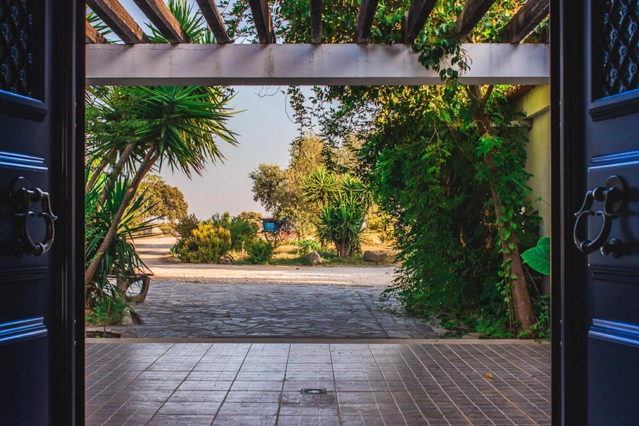 Monte Do Colmeal - Country House & Wine ξενώνας Mourão Εξωτερικό φωτογραφία