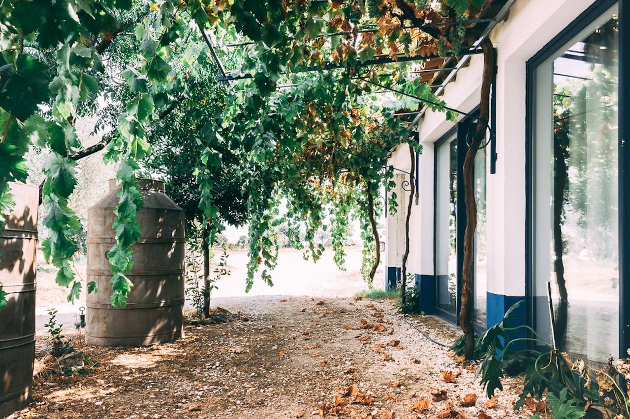 Monte Do Colmeal - Country House & Wine ξενώνας Mourão Εξωτερικό φωτογραφία
