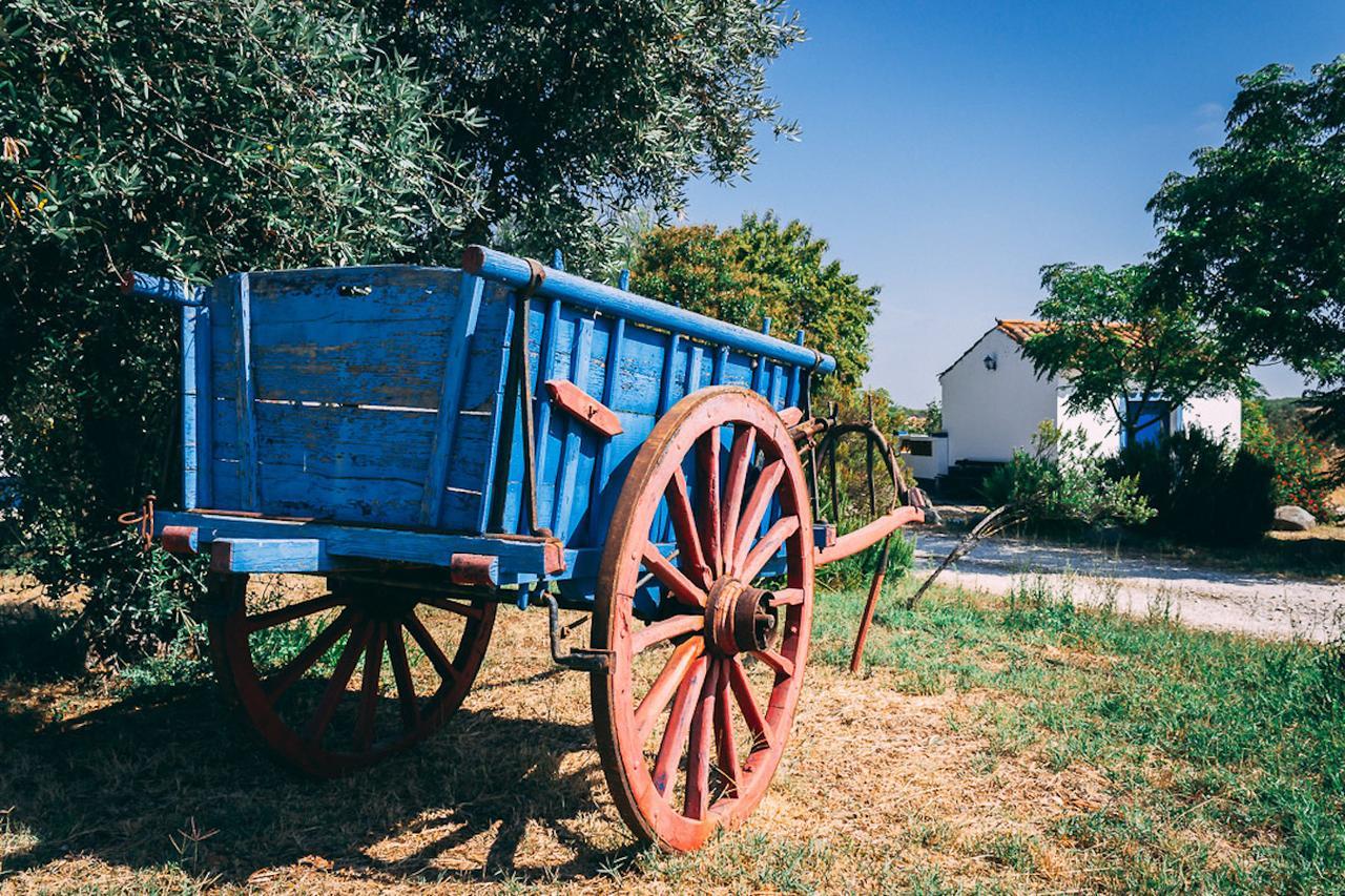 Monte Do Colmeal - Country House & Wine ξενώνας Mourão Εξωτερικό φωτογραφία