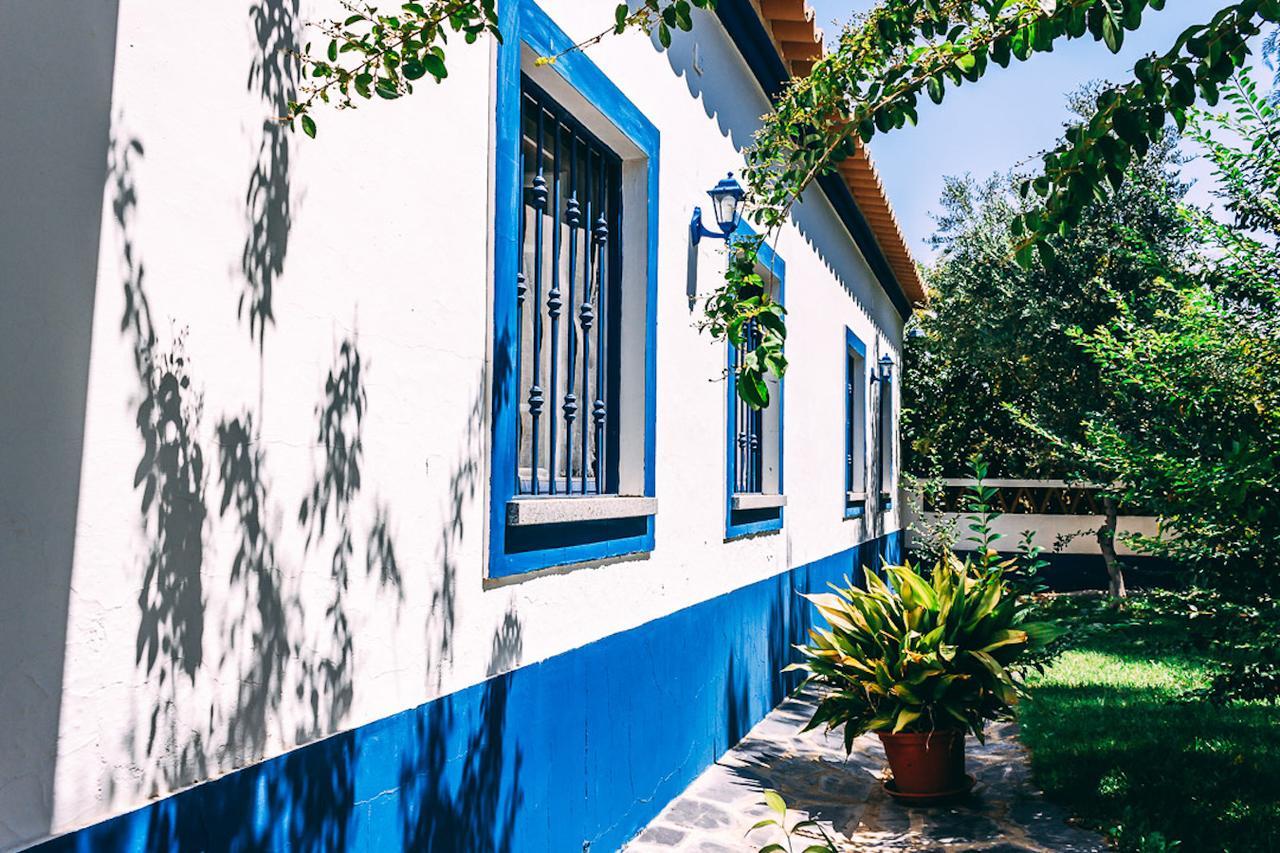 Monte Do Colmeal - Country House & Wine ξενώνας Mourão Εξωτερικό φωτογραφία
