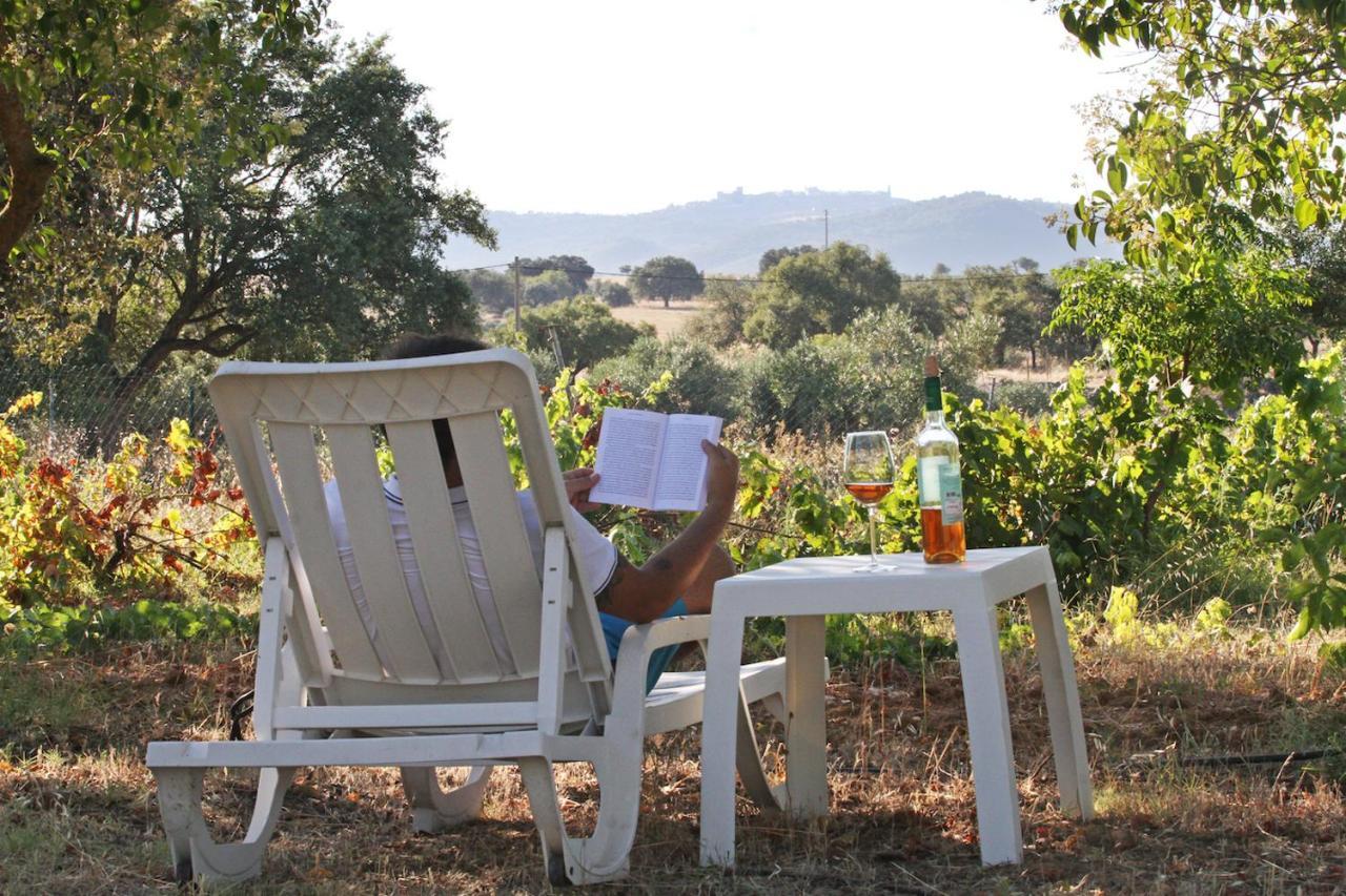 Monte Do Colmeal - Country House & Wine ξενώνας Mourão Εξωτερικό φωτογραφία